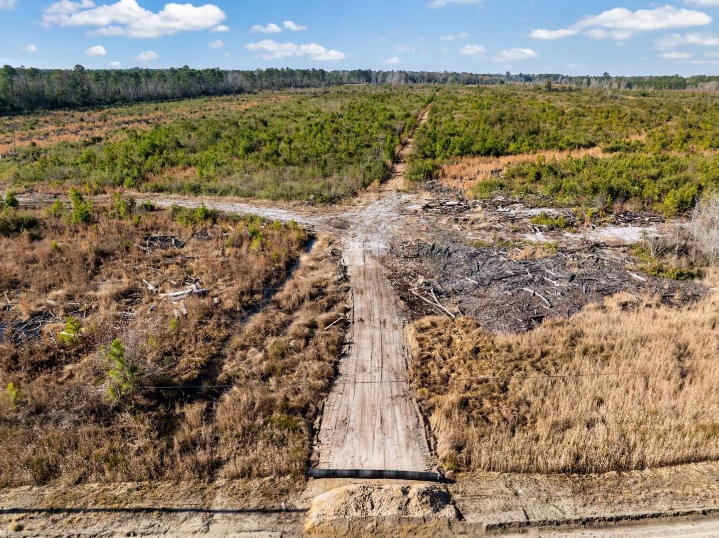 Fifteen Mile Bay Road Nichols, SC 29581 - Photo 11 of 22