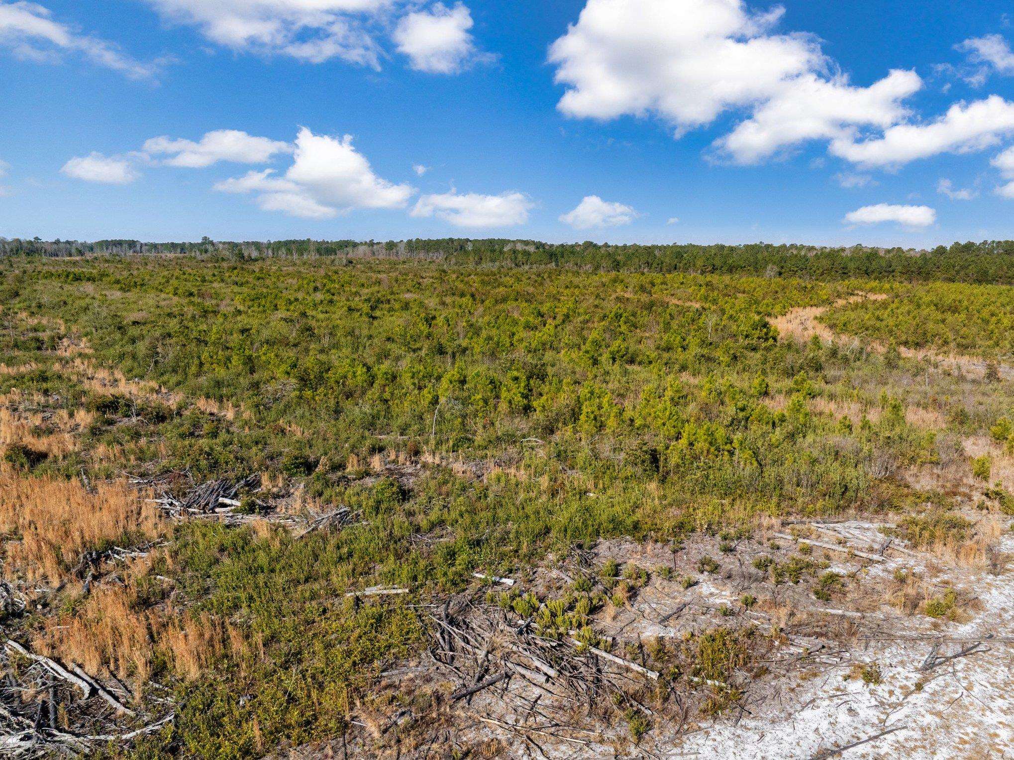 Fifteen Mile Bay Road Nichols, SC 29581 - Photo 17 of 22