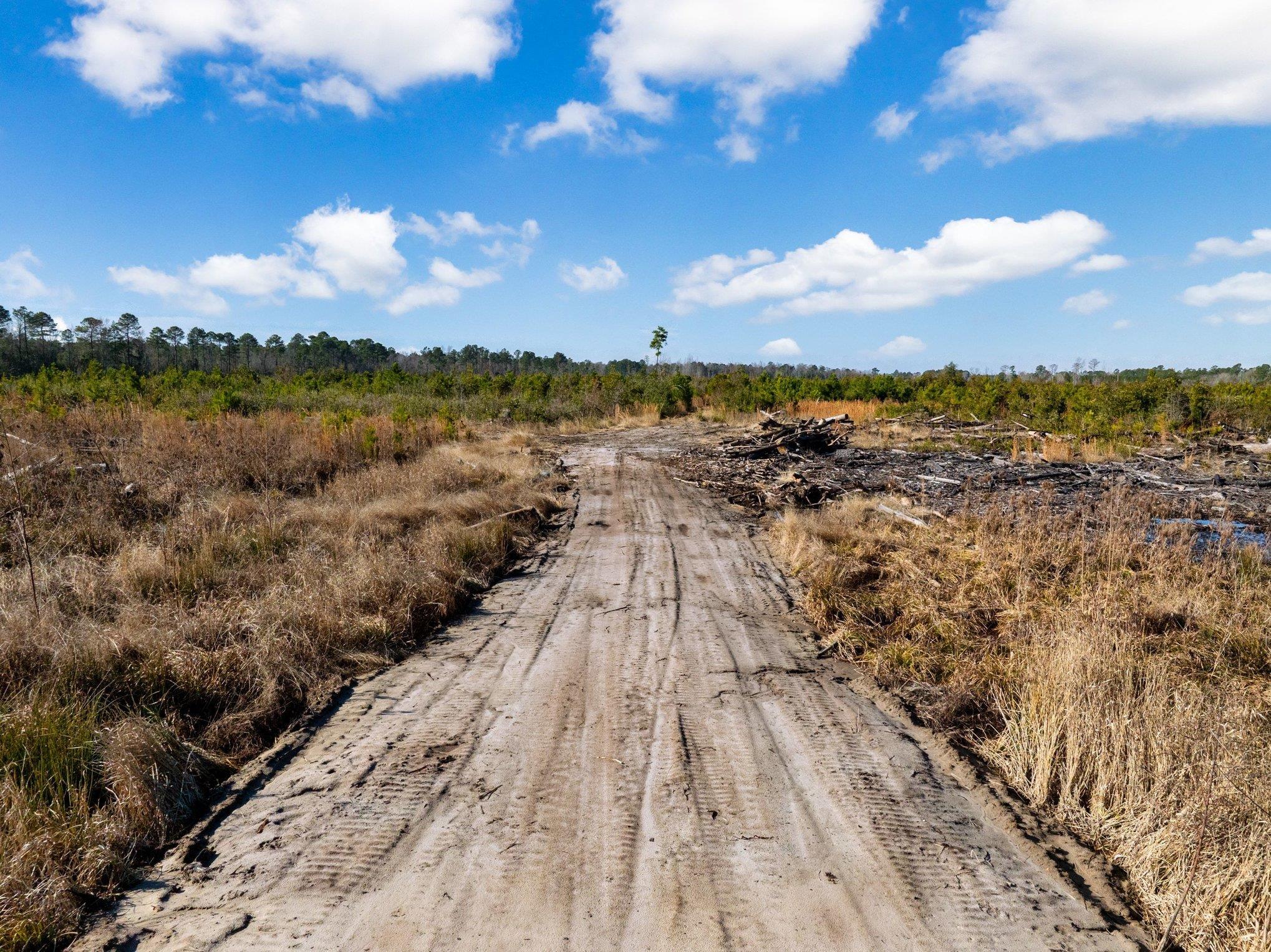 Fifteen Mile Bay Road Nichols, SC 29581 - Photo 18 of 22