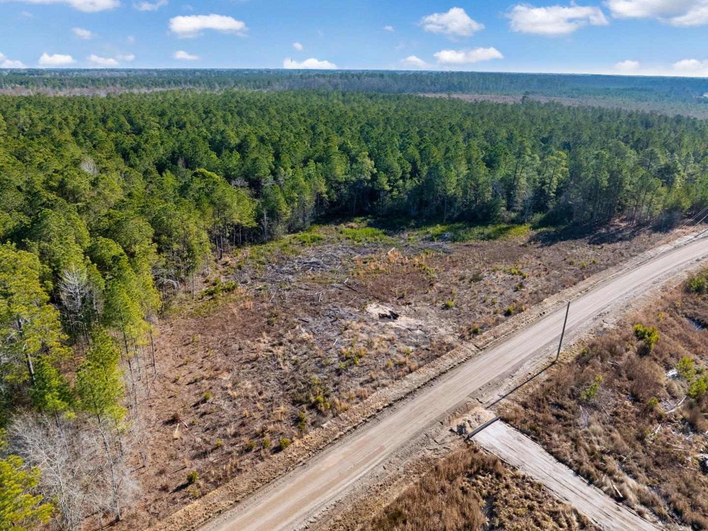 Fifteen Mile Bay Road Nichols, SC 29581 - Photo 19 of 22