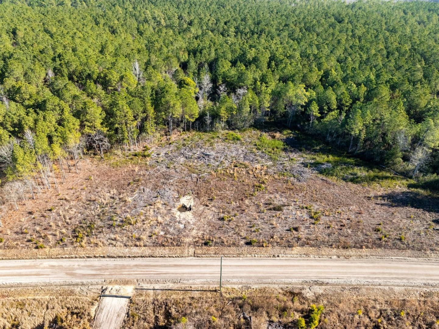 Fifteen Mile Bay Road Nichols, SC 29581 - Photo 20 of 22