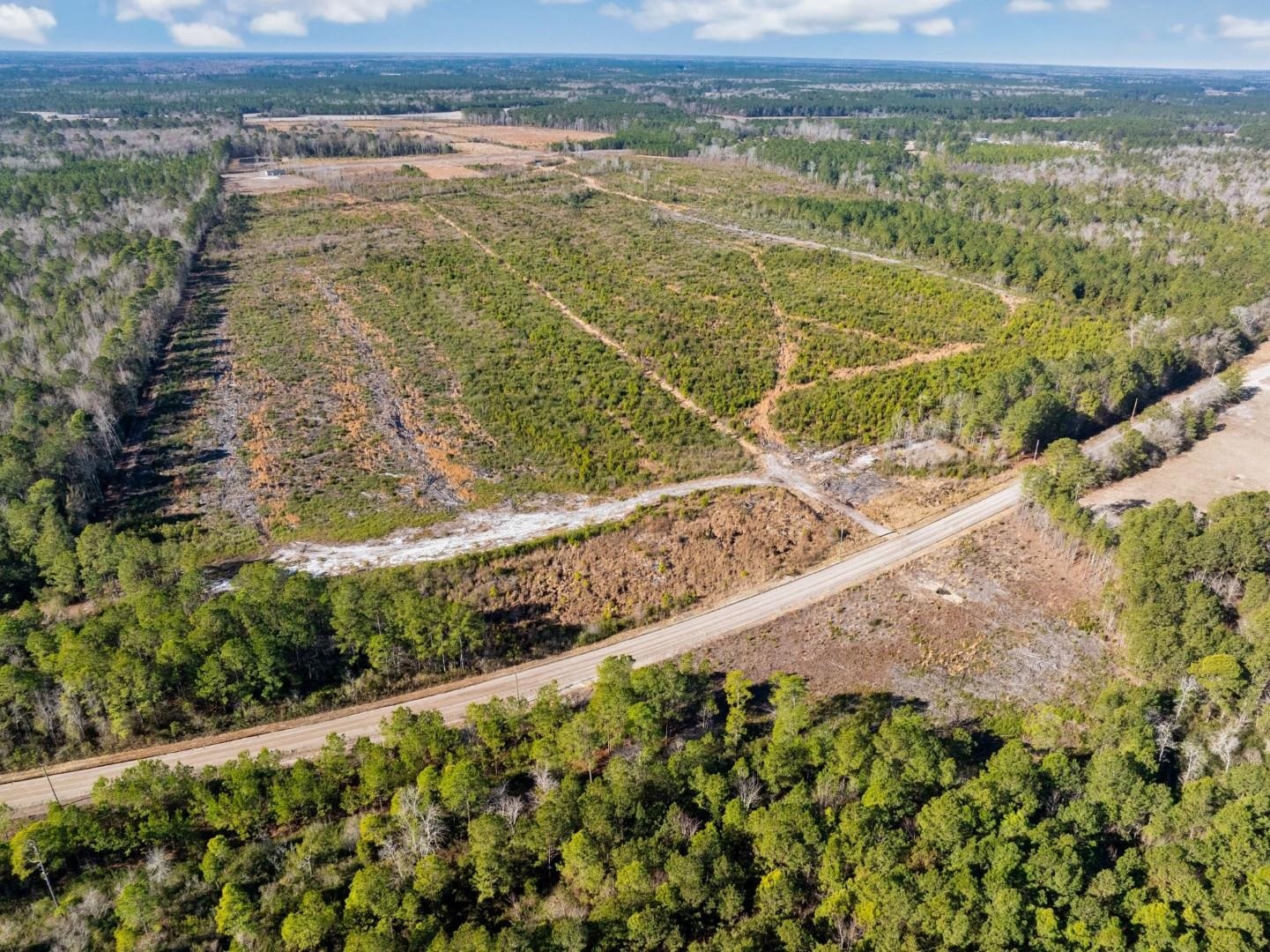 Fifteen Mile Bay Road Nichols, SC 29581 - Photo 22 of 22