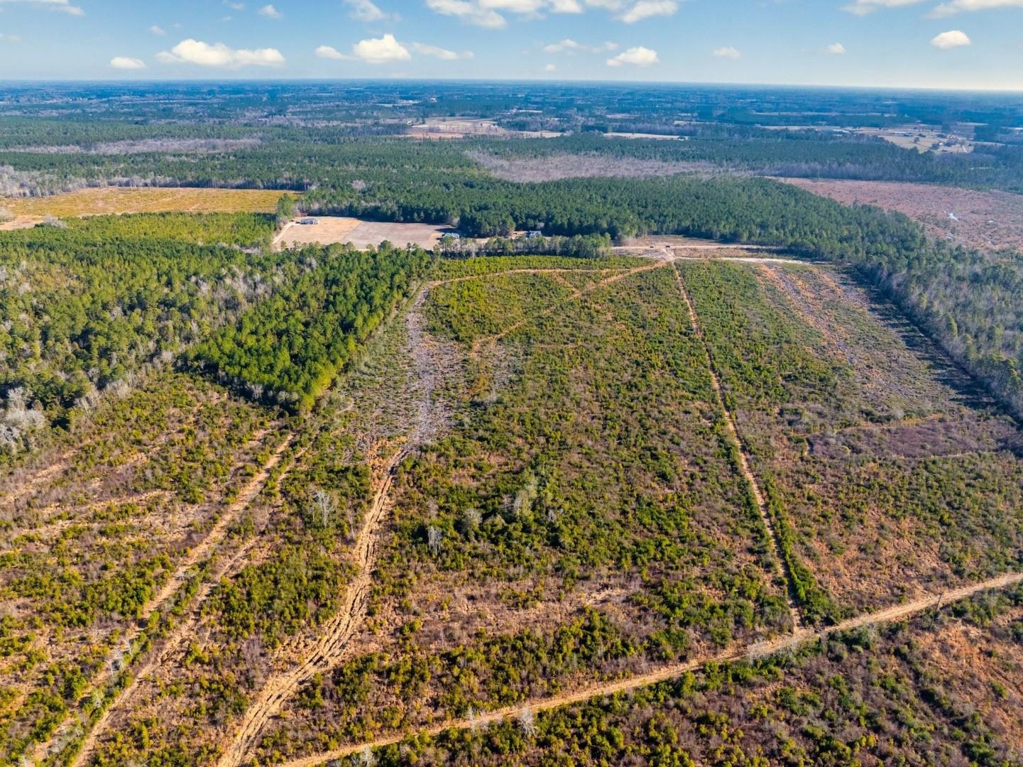 Fifteen Mile Bay Road Nichols, SC 29581 - Photo 4 of 22
