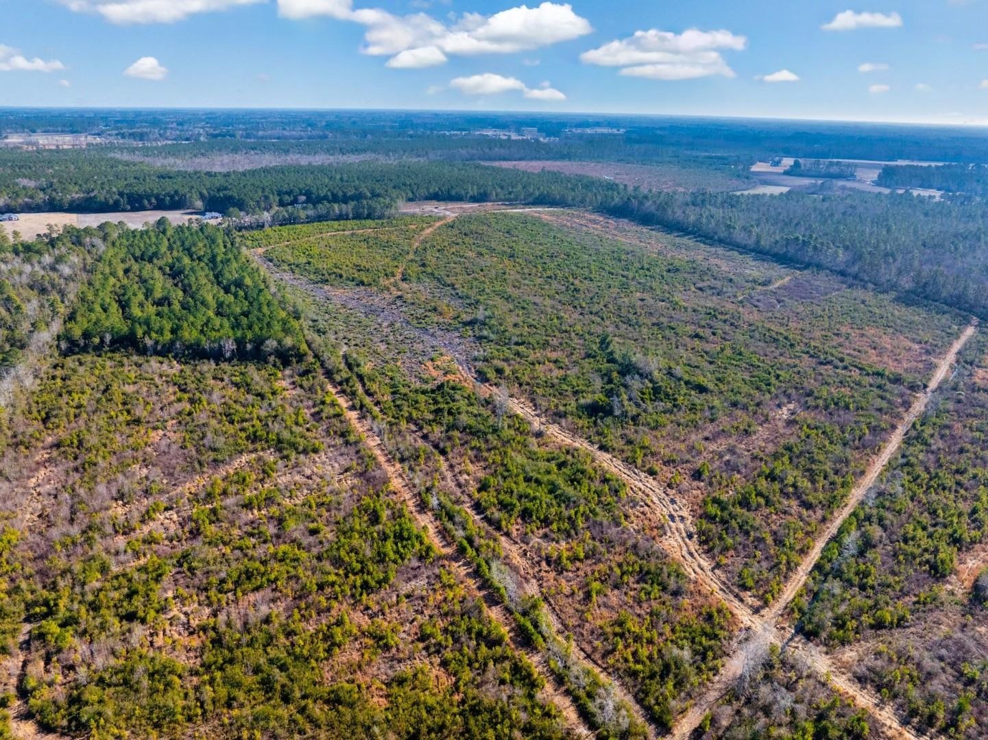 Fifteen Mile Bay Road Nichols, SC 29581 - Photo 5 of 22