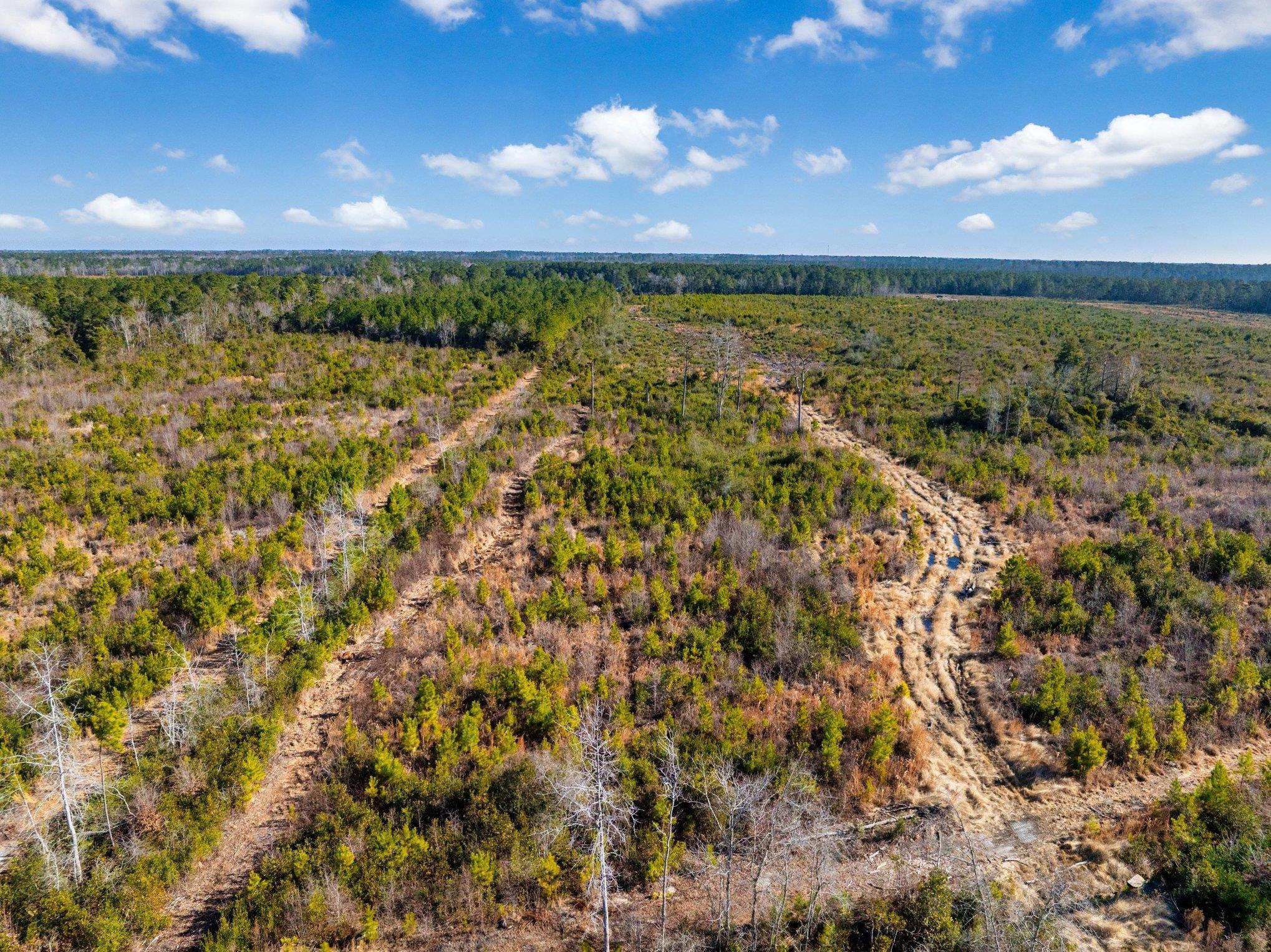 Fifteen Mile Bay Road Nichols, SC 29581 - Photo 6 of 22