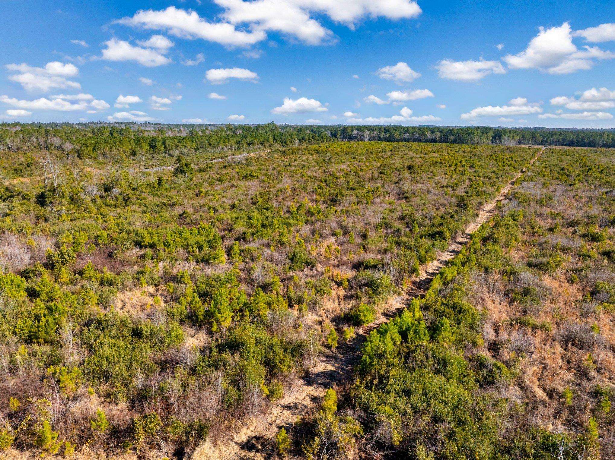 Fifteen Mile Bay Road Nichols, SC 29581 - Photo 7 of 22