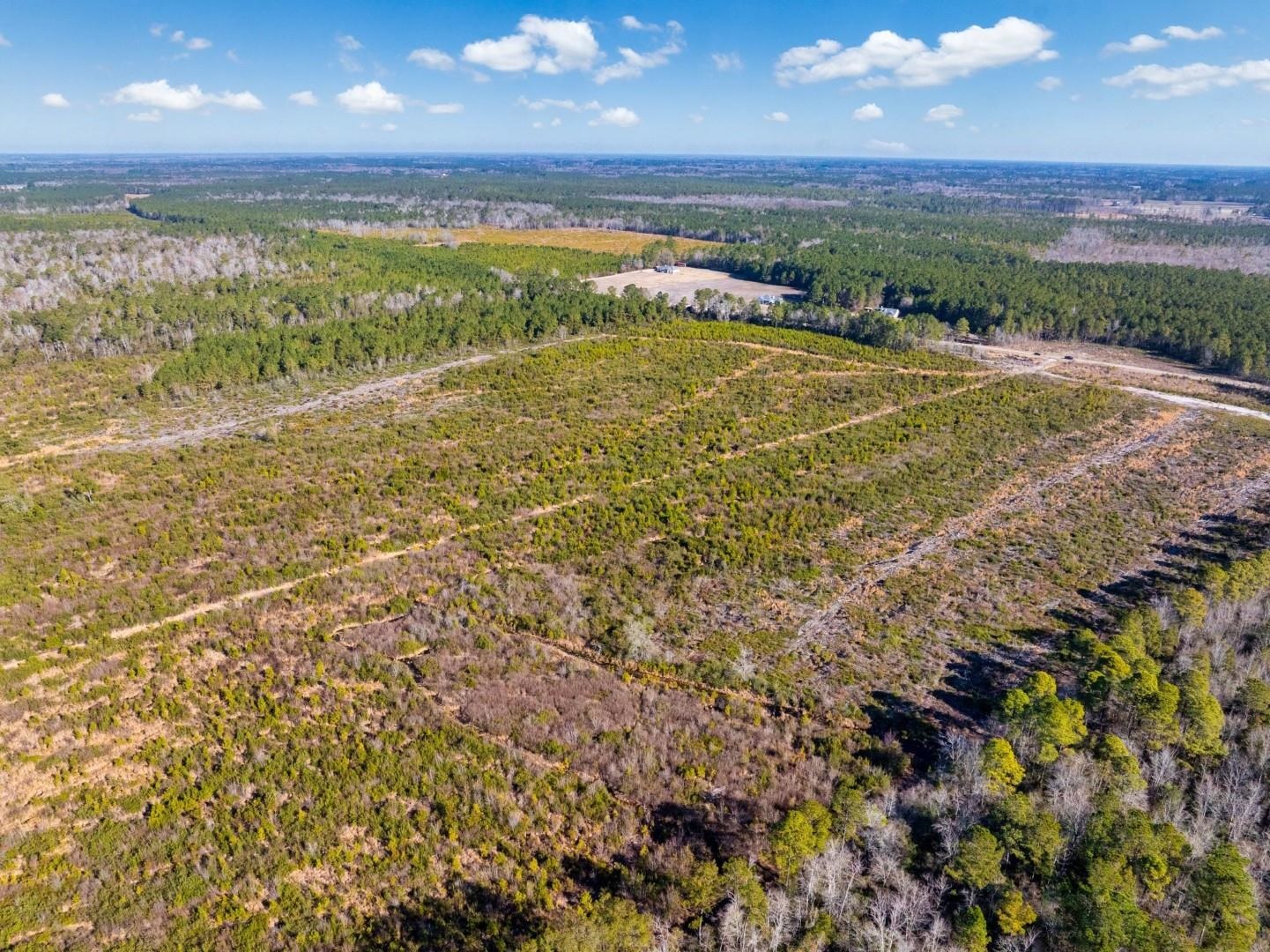 Fifteen Mile Bay Road Nichols, SC 29581 - Photo 8 of 22