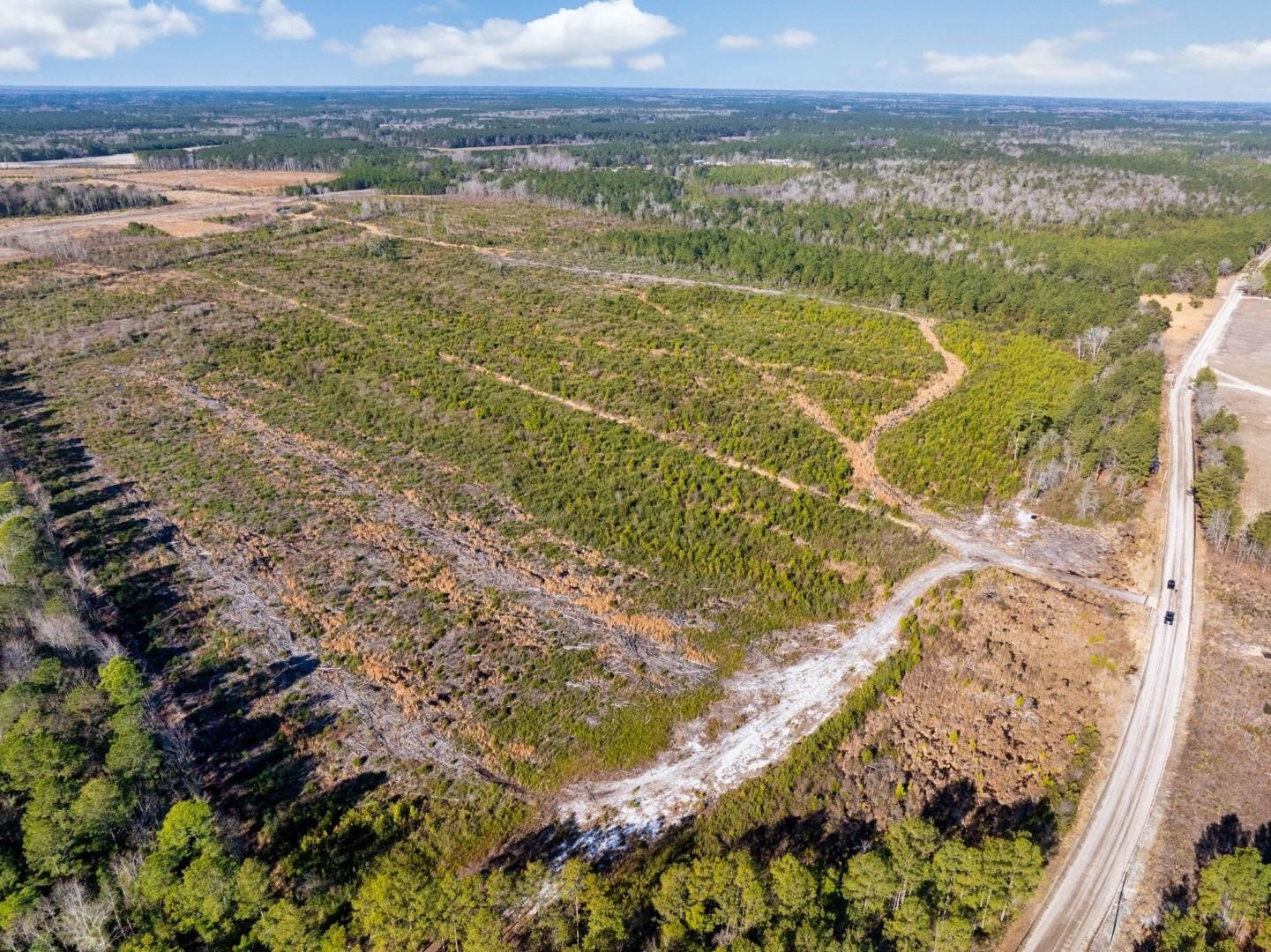 Fifteen Mile Bay Road Nichols, SC 29581 - Photo 9 of 22