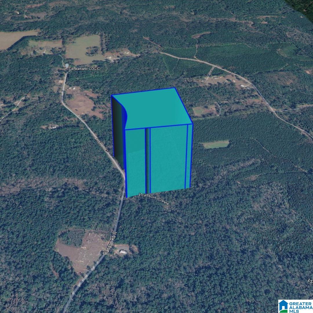0 Canaan Road West Stockton, AL 36579 - Photo 8 of 15