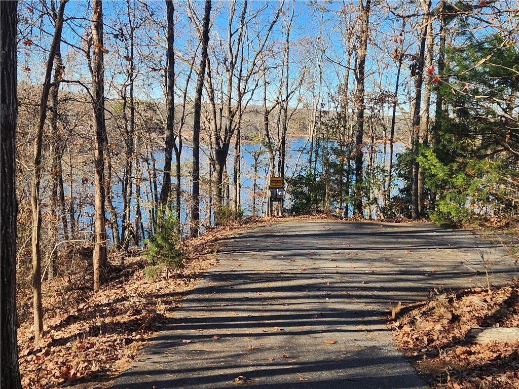 110 Crepe Myrtle Lane Anderson, SC 29625 - Photo 46 of 49