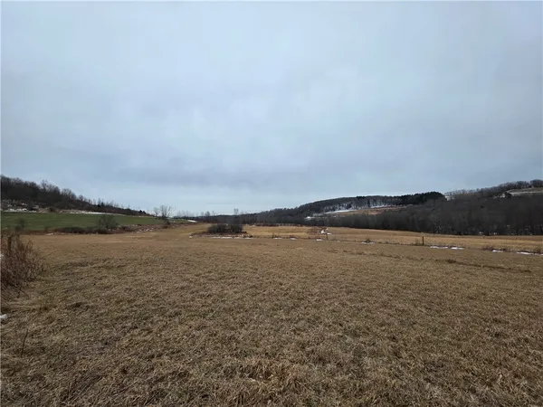 $139,900 | 1300 County Route 82, Troupsburg, NY 14885
