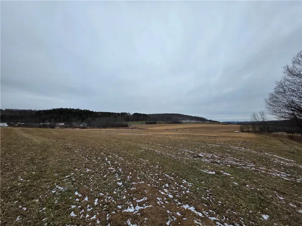 $139,900 | 1300 County Route 82, Troupsburg, NY 14885