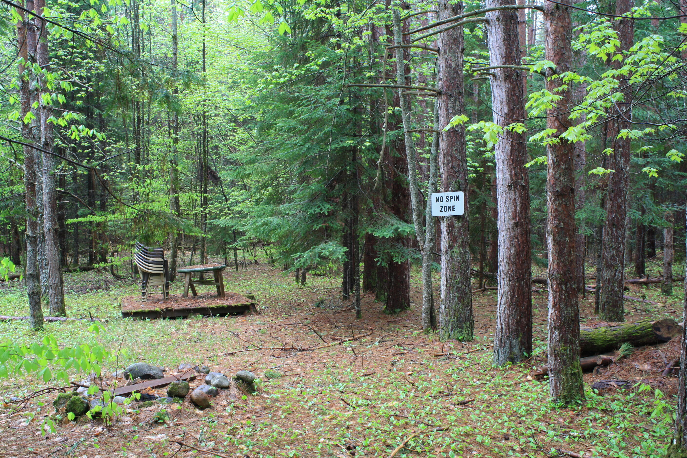 230 Teboville Road Owls Head, NY 12969 - Photo 43 of 58 russ property 3