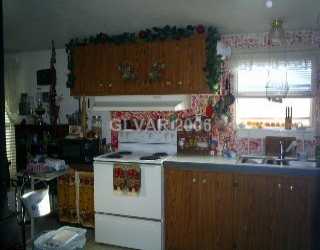 4050 Flamingo Road Pahrump, NV 89048 - Photo 4 of 4 Kitchen.