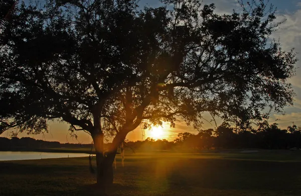 $1,950,000 | 110 Swan Point Road, Georgetown, SC 29440