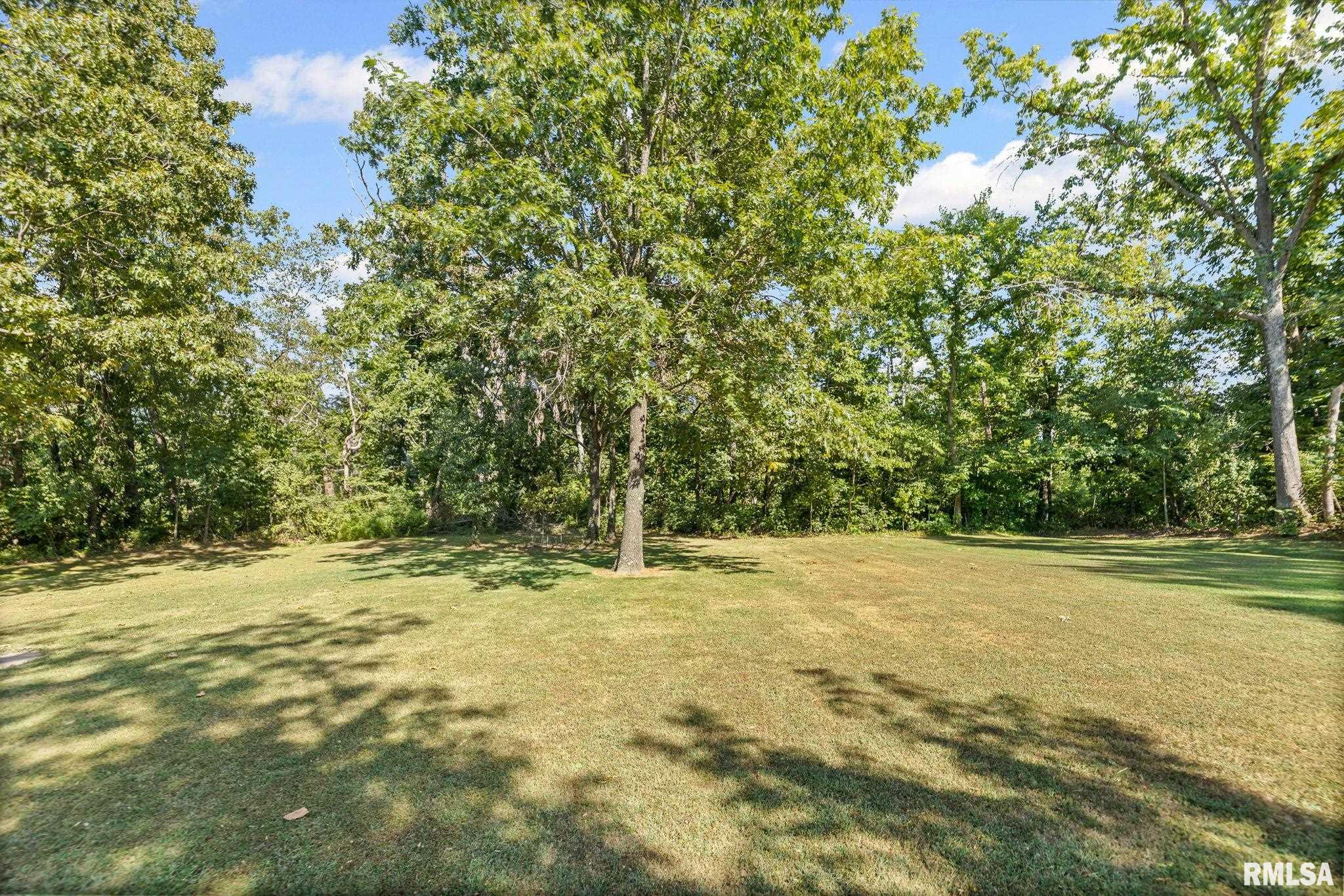 6458 Bailey Road Salem, IL 62881 - Photo 11 of 56