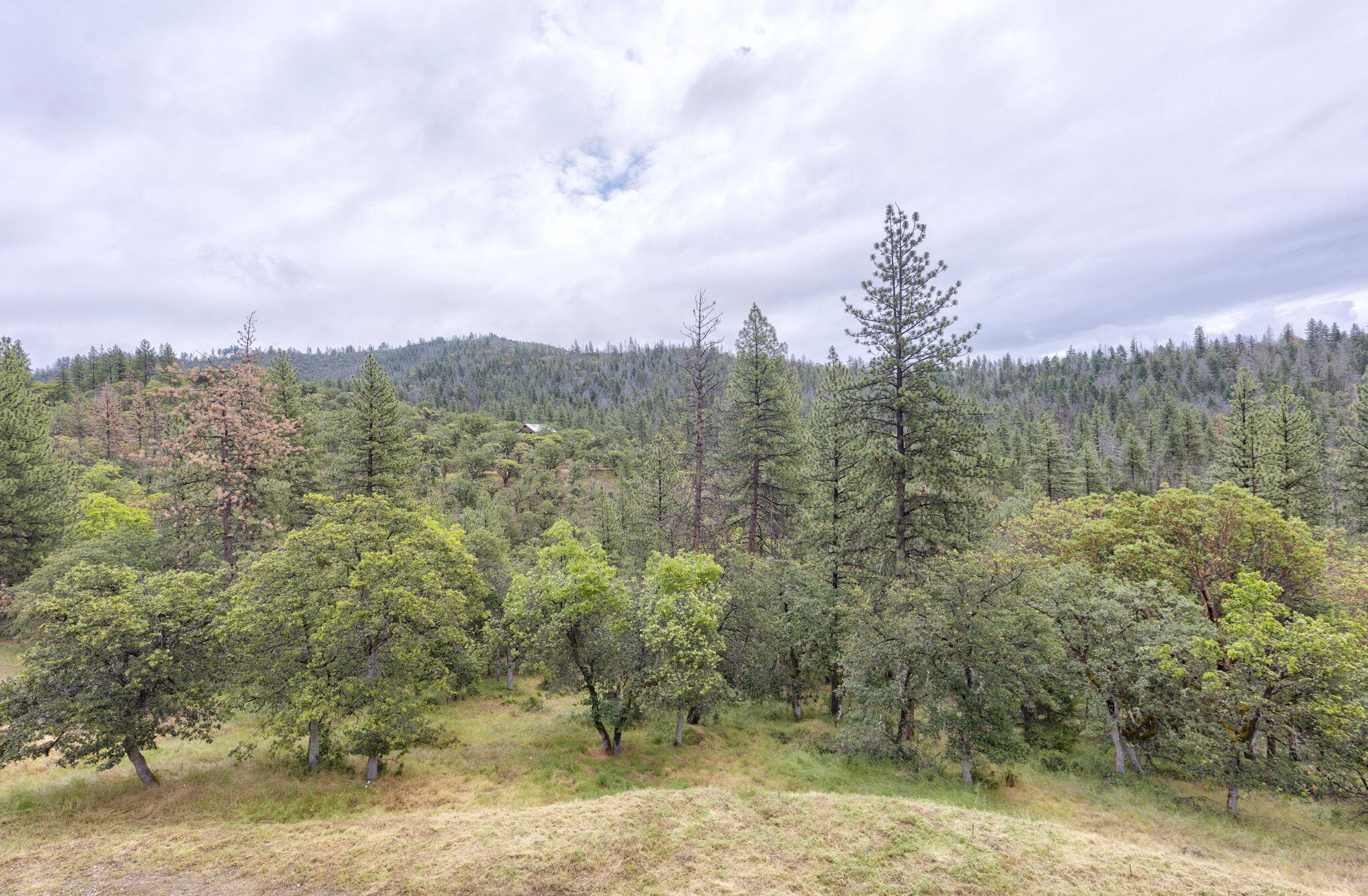 9595 Sterling Creek Road Jacksonville, OR 97530 - Photo 57 of 76 16-web-or-mls-9595-sterling-creek-rd