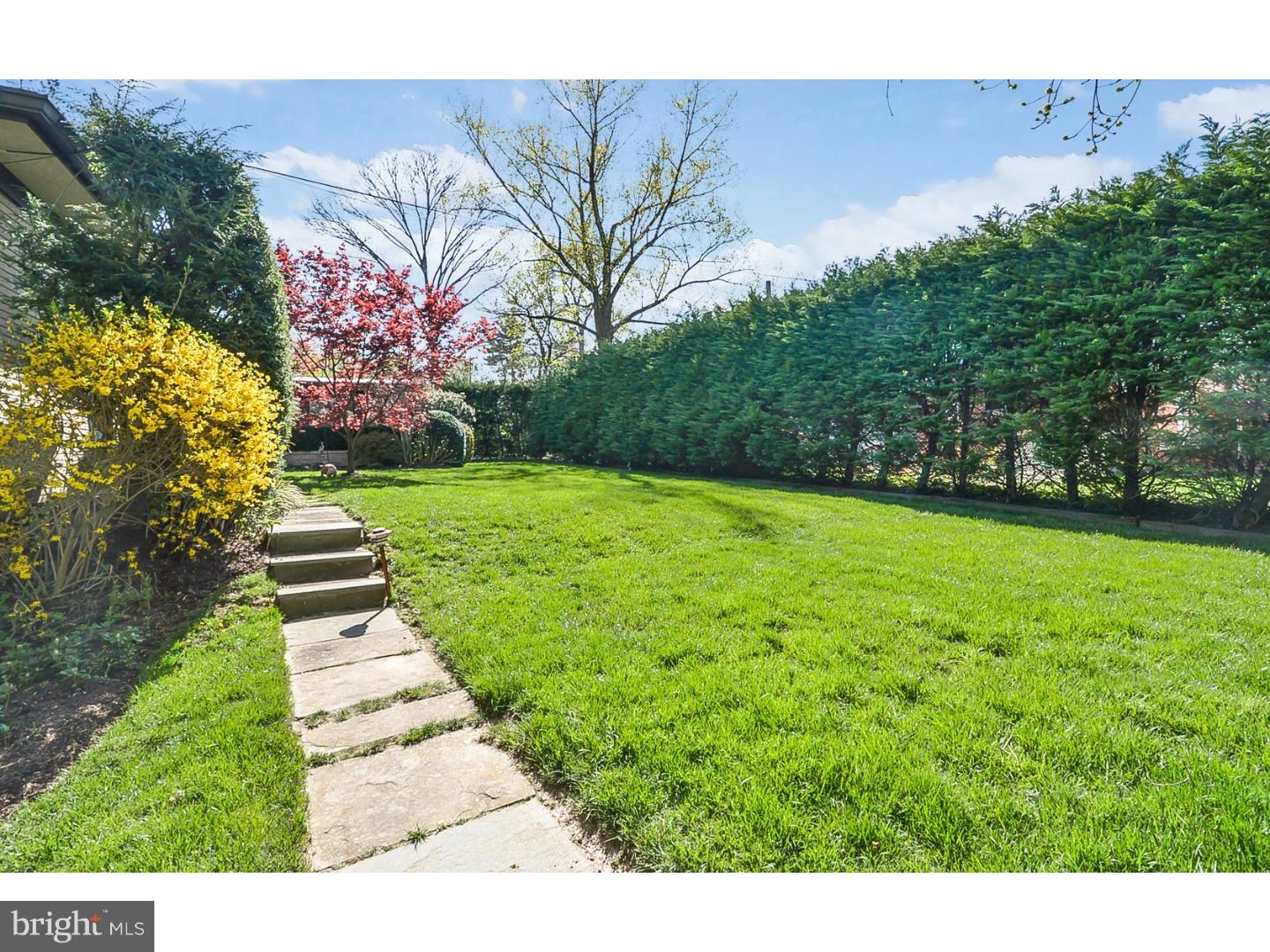 605 Burnham Road Philadelphia, PA 19119 - Photo 23 of 25 Side Yard