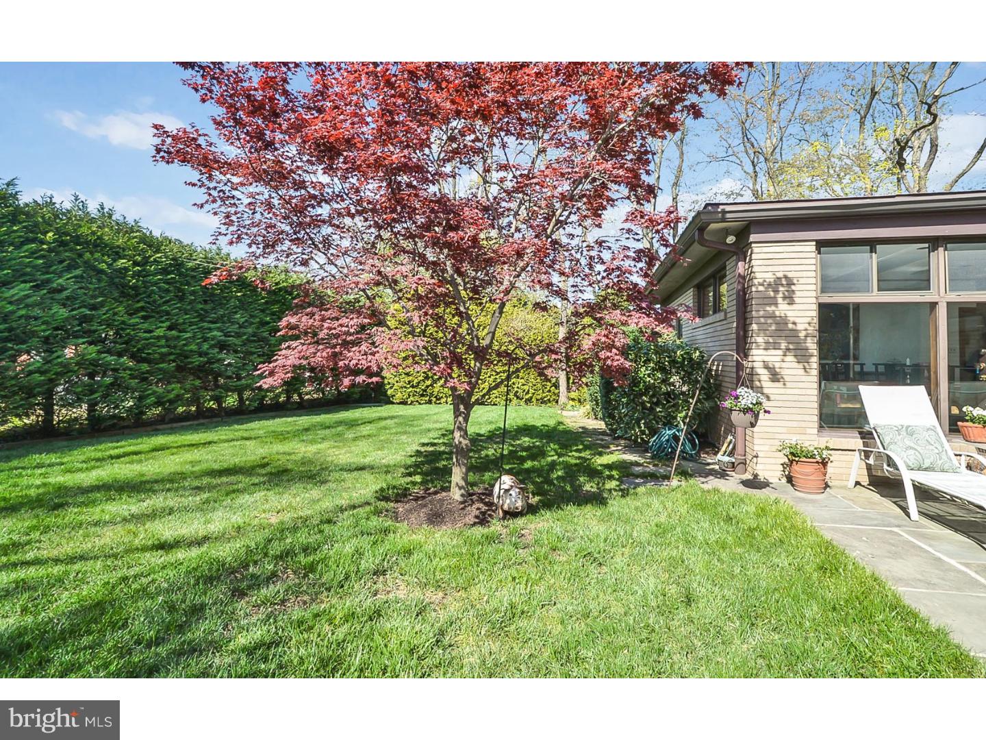 605 Burnham Road Philadelphia, PA 19119 - Photo 25 of 25 Side Yard