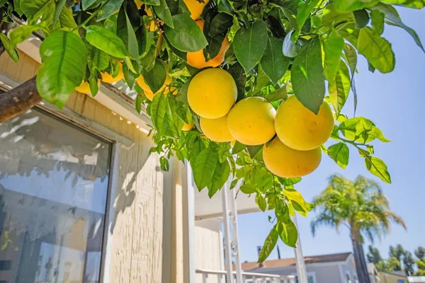 $119,900 | 1537 H Street, Unit SPC 54, Ramona, CA 92065