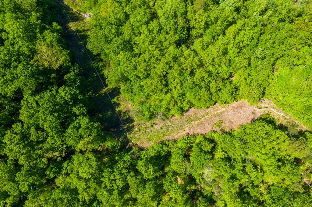 0 Henry Town Road Sevierville, TN 37876 - Photo 6 of 38 Gallery Image 6