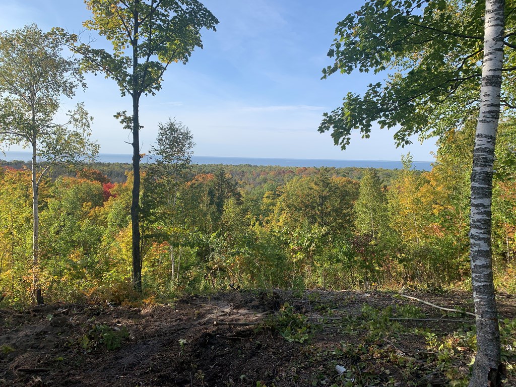 Lot 21 Daisy Patch Road Fish Creek, WI 54212 - Photo 3 of 6