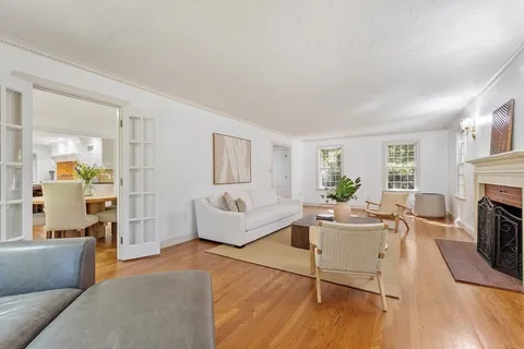 a dining room with furniture and potted plant