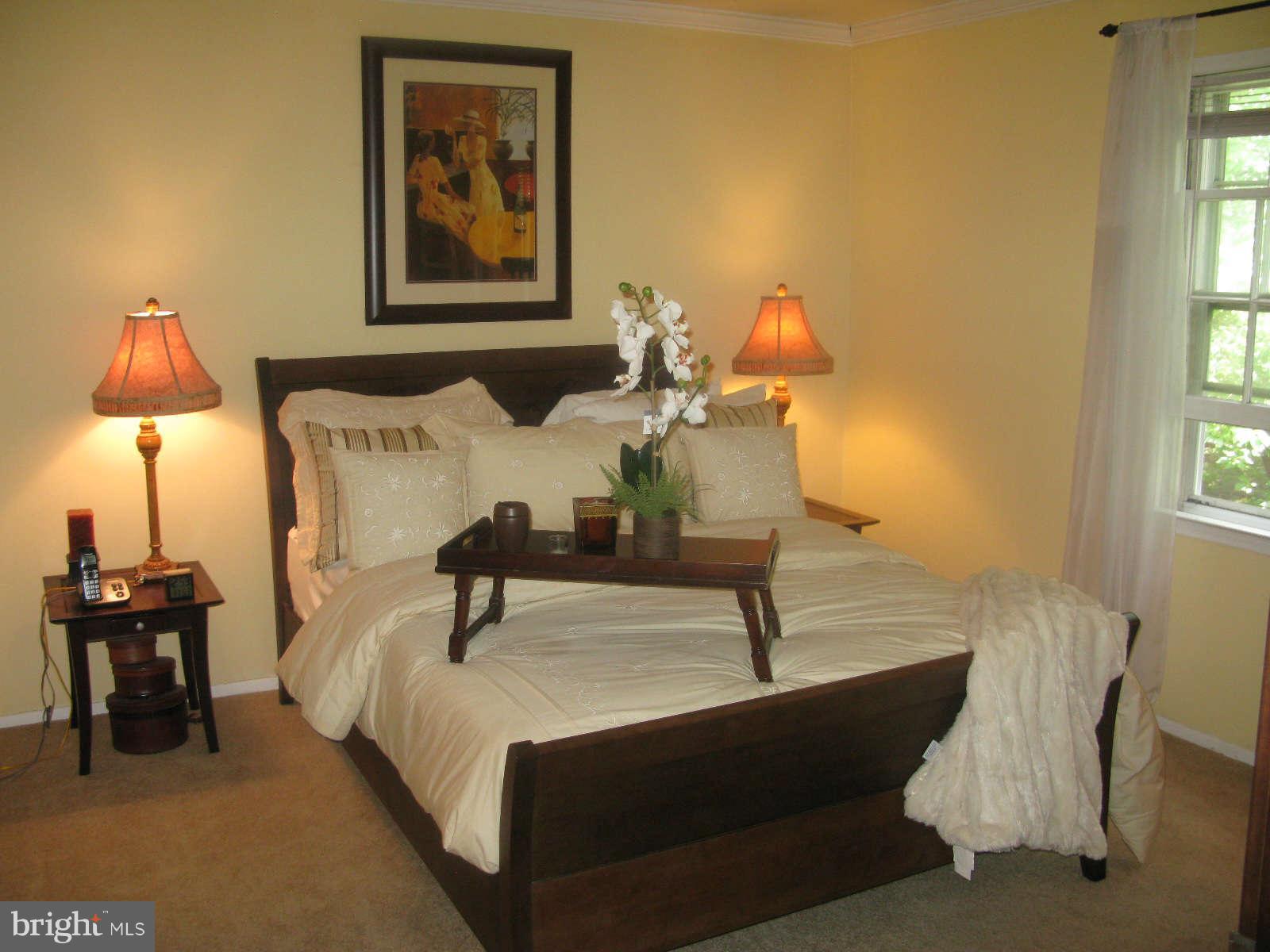 2355 Horseferry Court Reston, VA 20191 - Photo 13 of 28 Bedroom Master