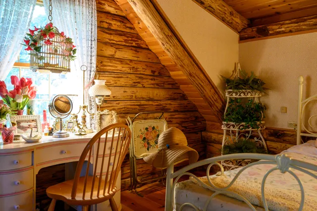 a view of a backyard with plants and chairs