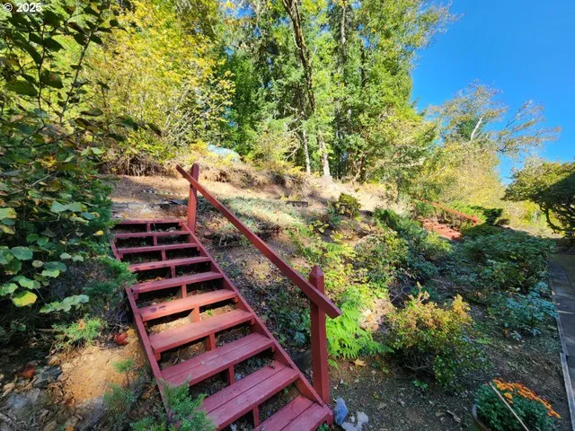 a view of a yard with plants and wooden fence