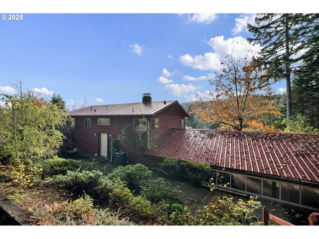 a view of a backyard