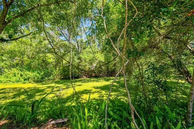 $400,000 | 16138 Manorwood Circle, Tampa, FL 33624