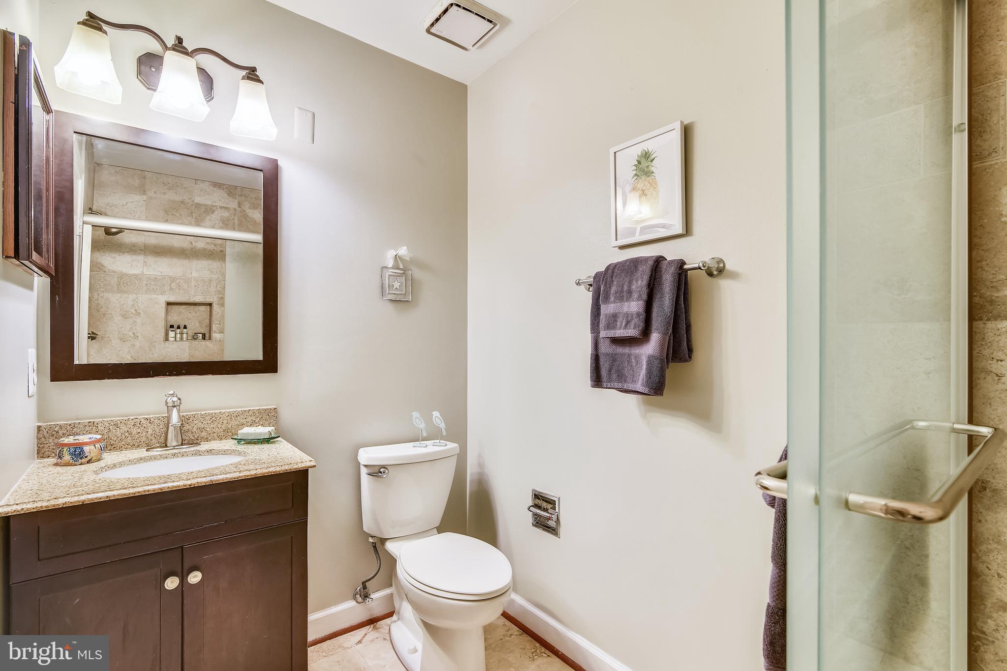 13563 Ruddy Duck Road Clifton, VA 20124 - Photo 24 of 54 Master Bath