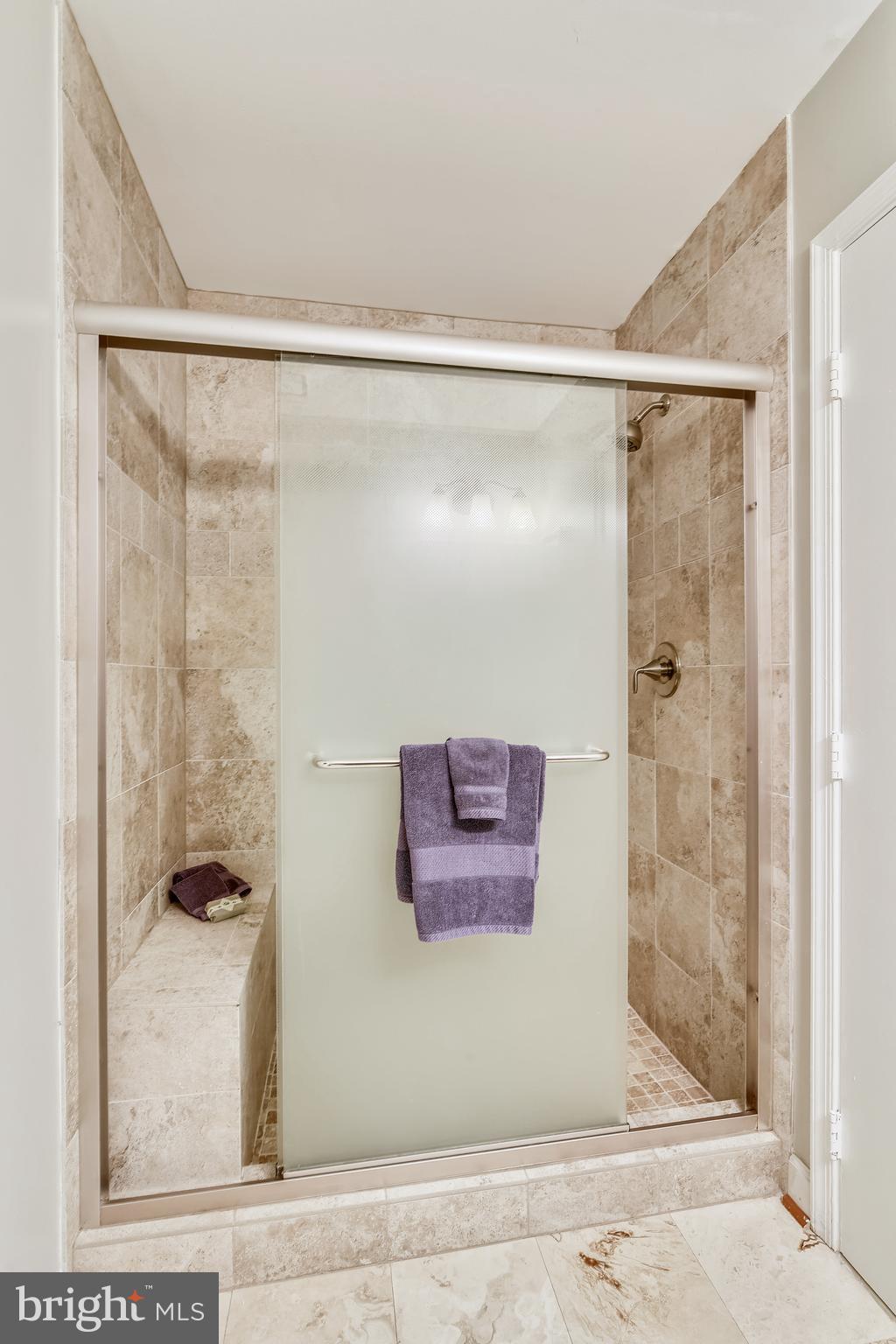 13563 Ruddy Duck Road Clifton, VA 20124 - Photo 25 of 54 Master Bath Shower