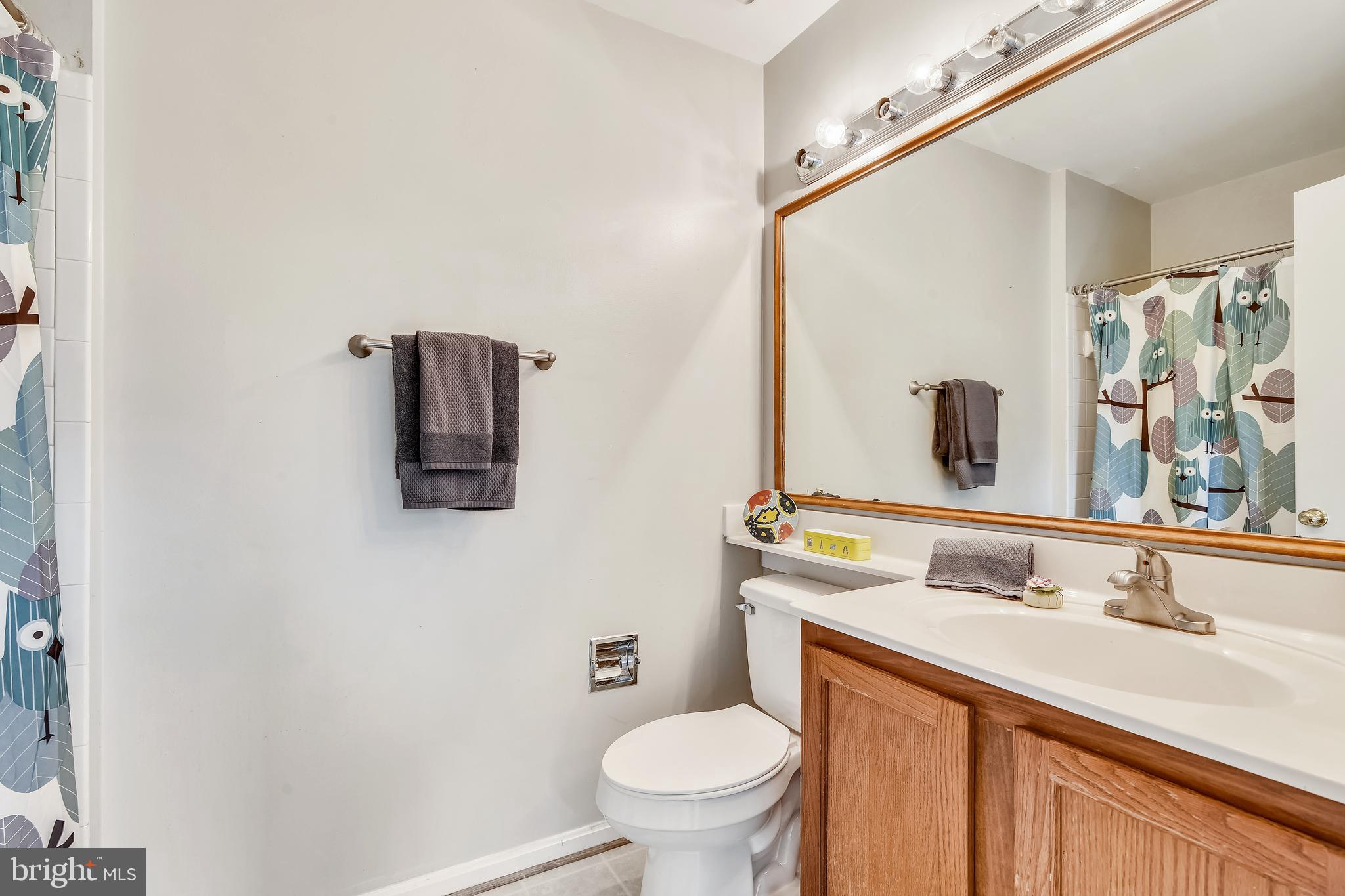 13563 Ruddy Duck Road Clifton, VA 20124 - Photo 31 of 54 2nd Bedroom with Full Bath