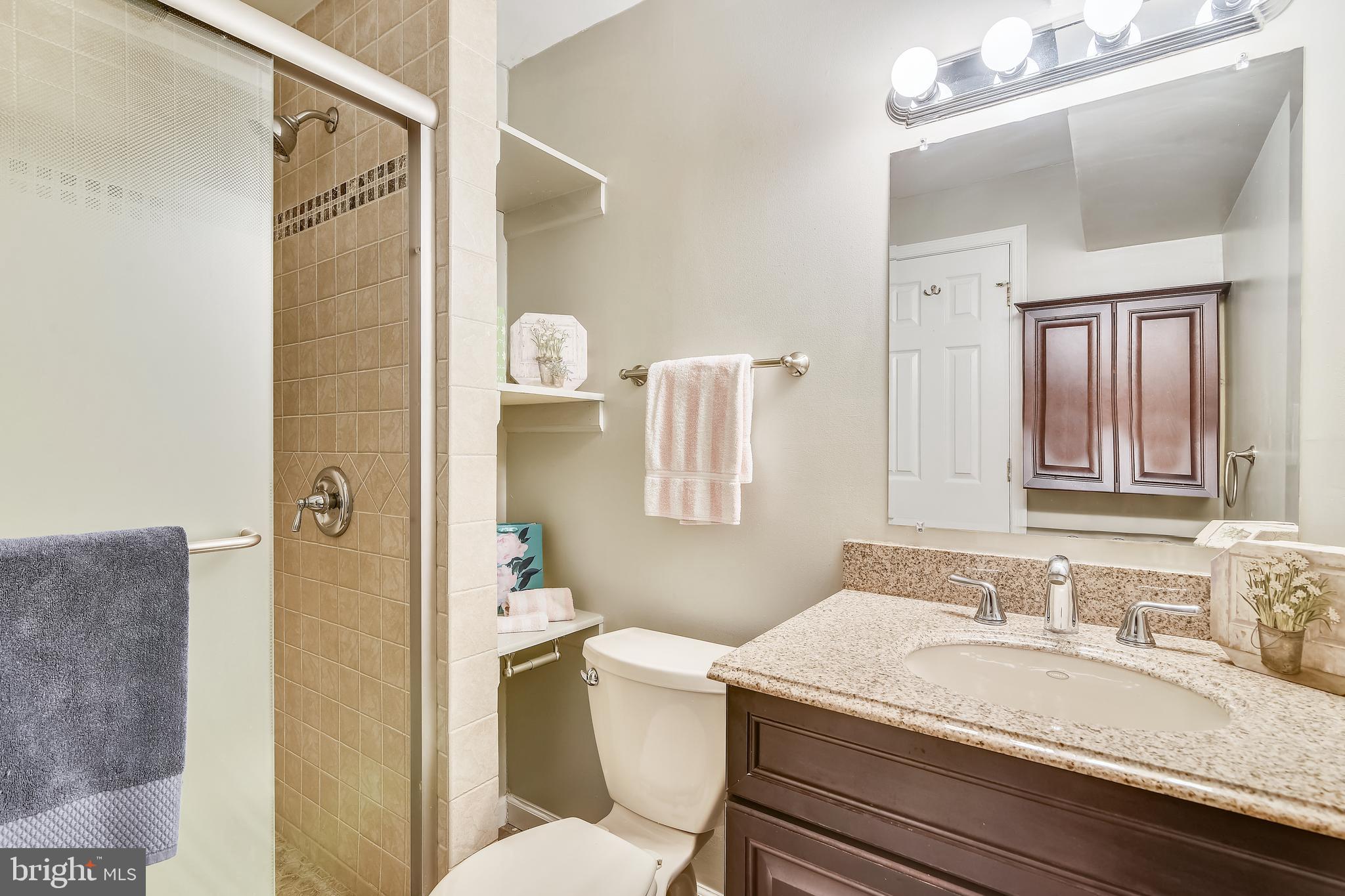 13563 Ruddy Duck Road Clifton, VA 20124 - Photo 38 of 54 Lower Level Full Bath