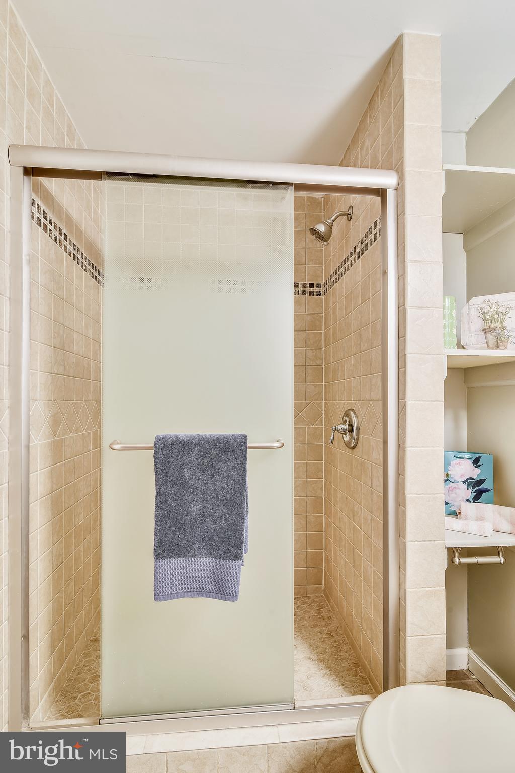 13563 Ruddy Duck Road Clifton, VA 20124 - Photo 40 of 54 Lower Level Shower