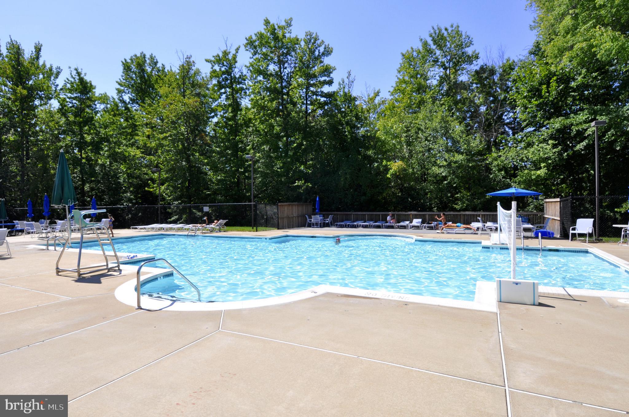 13563 Ruddy Duck Road Clifton, VA 20124 - Photo 48 of 54 Community pool