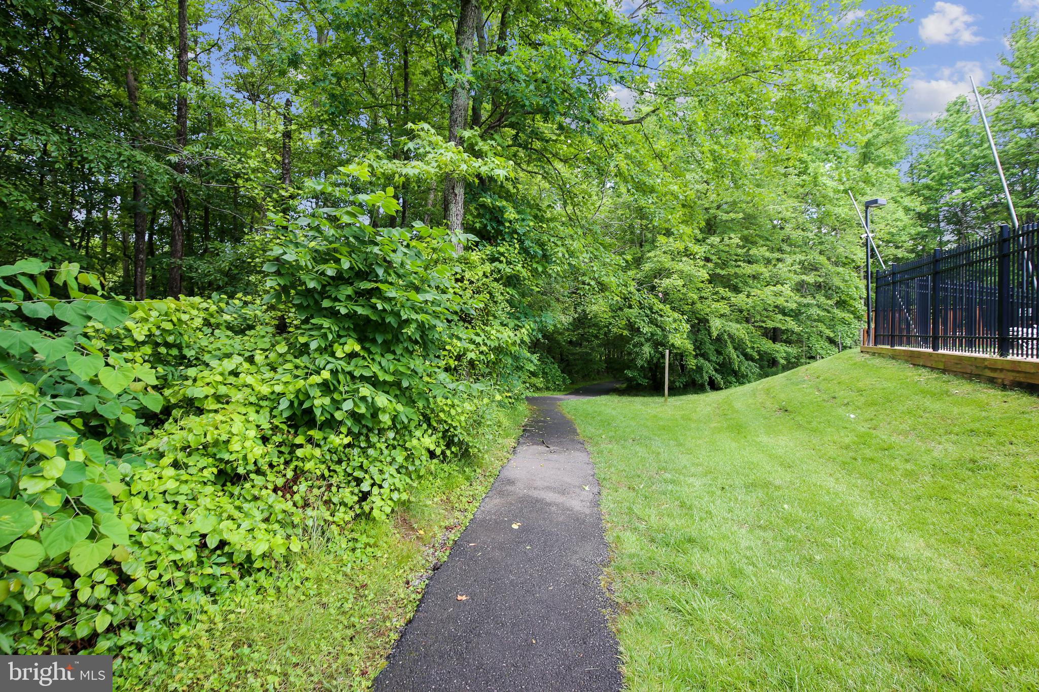 13563 Ruddy Duck Road Clifton, VA 20124 - Photo 53 of 54 Community pathways