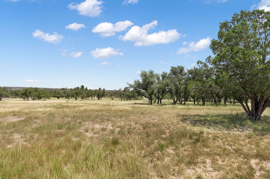 434 Gold-Schaefer Road Fredericksburg, TX 78624 - Photo 29 of 35