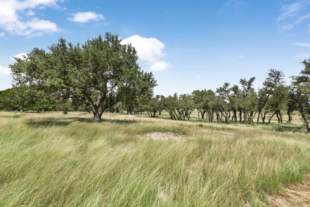 434 Gold-Schaefer Road Fredericksburg, TX 78624 - Photo 32 of 35