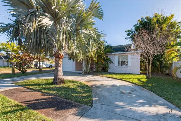 a front view of a house with a yard and palm trees