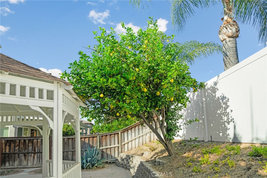 6124 Risingstar Drive Eastvale, CA 92880 - Photo 37 of 37 a view of a house with a tree in the yard
