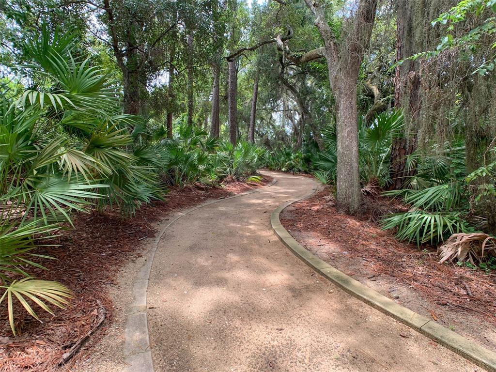 55 Riverview Bend South, Unit 2033 Palm Coast, FL 32137 - Photo 74 of 75 a view of a yard with plants and trees