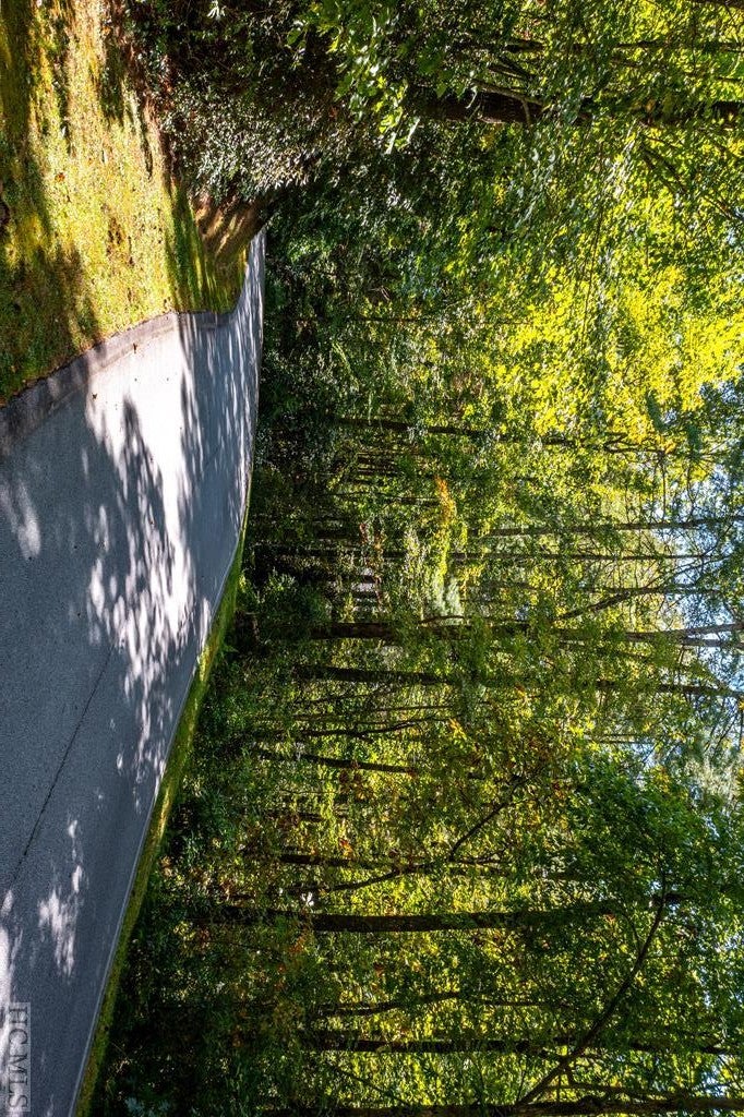 Lot 6 River Overlook Road Sapphire, NC 28774 - Photo 5 of 16 Gallery Image 5