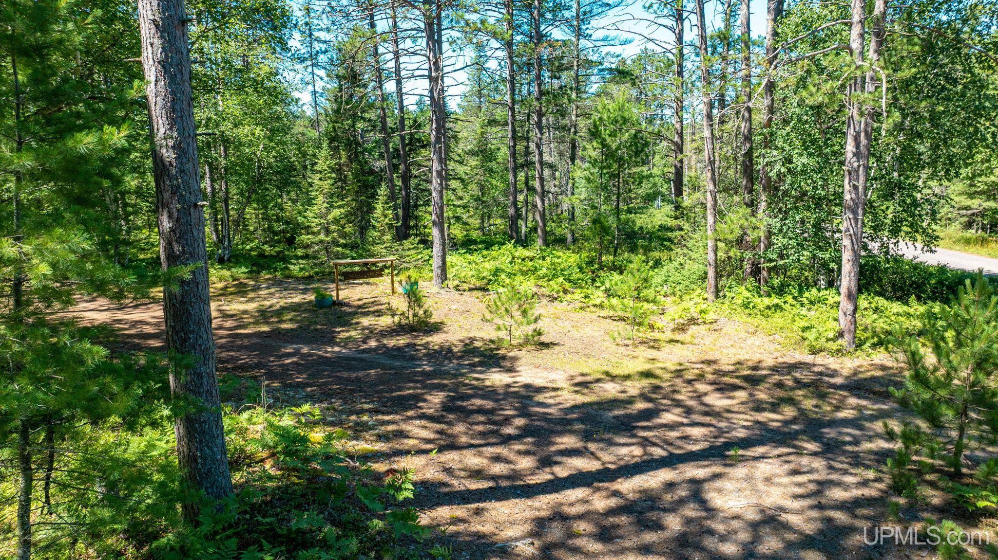 Lot 62 Little Rice Lake Road Lake Linden, MI 49945 - Photo 26 of 52 Gallery Image 26