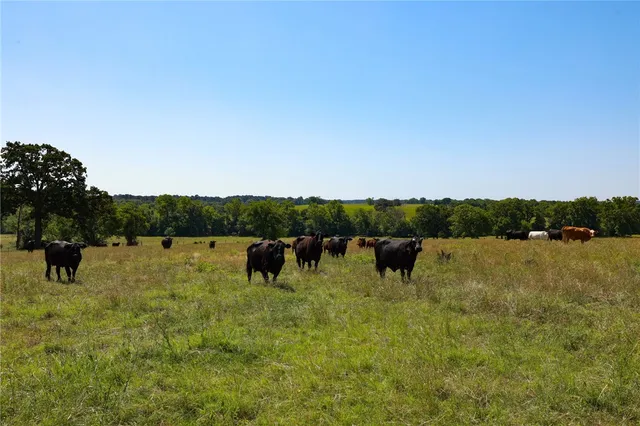 a view of a lake with houses