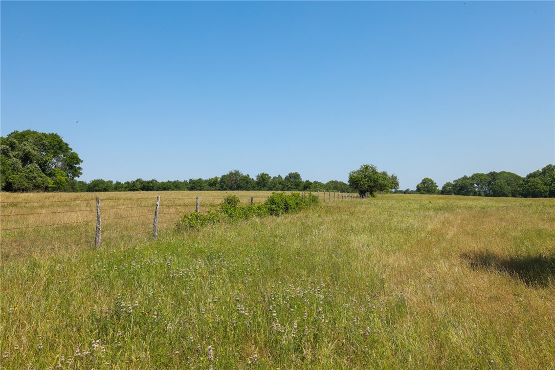 305 County Road 305 Navasota, TX 77868 - Photo 14 of 21 a view of a lake view
