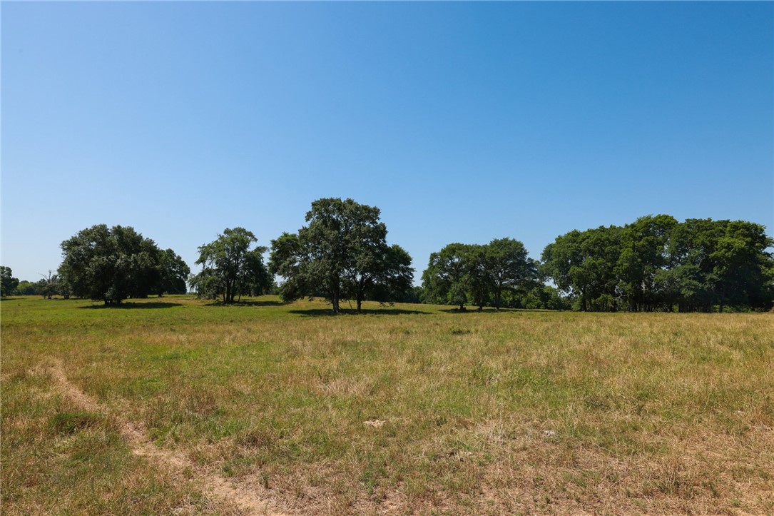 305 County Road 305 Navasota, TX 77868 - Photo 16 of 21