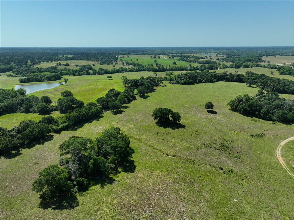 305 County Road 305 Navasota, TX 77868 - Photo 18 of 21 a view of a water pond with lots of green space